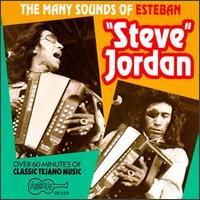 Cover for Steve Jordan · Many Sounds of Steve Jordan (CD) (1993)