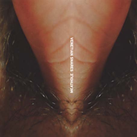 Cover for Venetian Snares · Meathole (CD) (2005)