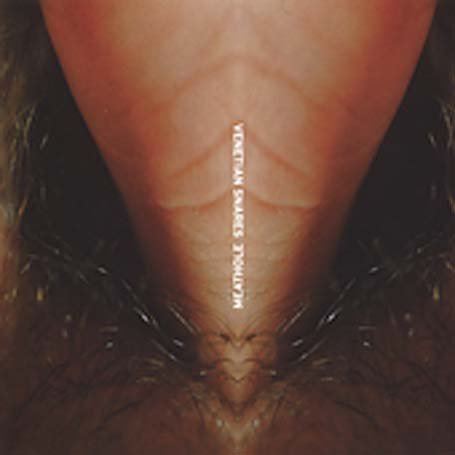 Meathole - Venetian Snares - Music - PLANET MU RECORDS LTD - 0600116809926 - September 20, 2005