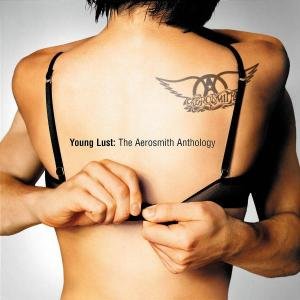 Cover for Aerosmith · Young Lust The Aerosmith (CD) (2020)