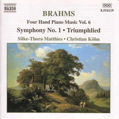Brahms / Four Hand Piano Music - Vol. 6 - Matthies / Kohn - Music - NAXOS - 0636943411926 - February 28, 2000