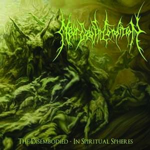 Cover for Near Death Condition · The Disembodied - in Spiritual Spher Es (CD) (2011)