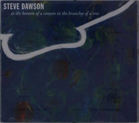 At the Bottom of a Canyon in the Branches of a Tree - Steve Dawson - Musik - PRAVDA RECORDS - 0727321641926 - 27. August 2021