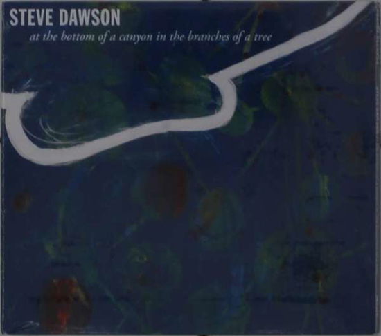 At the Bottom of a Canyon in the Branches of a Tree - Steve Dawson - Musik - PRAVDA RECORDS - 0727321641926 - 27. august 2021