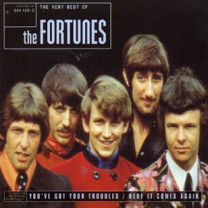 Very Best of - The Fortunes - Musik - SPECTRUM - 0731454412926 - 1. Mai 2017