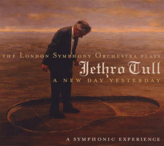 Cover for Jethro Tull · Plays Jethro Tull (CD) [Tribute edition] (2006)