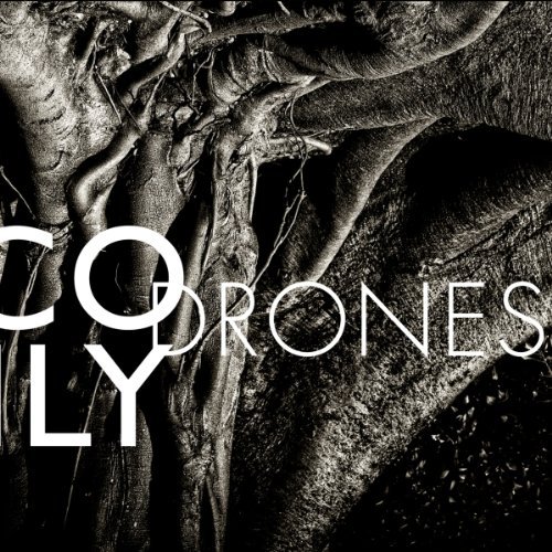 Cover for Nico Muhly · Drones (CD) (2012)