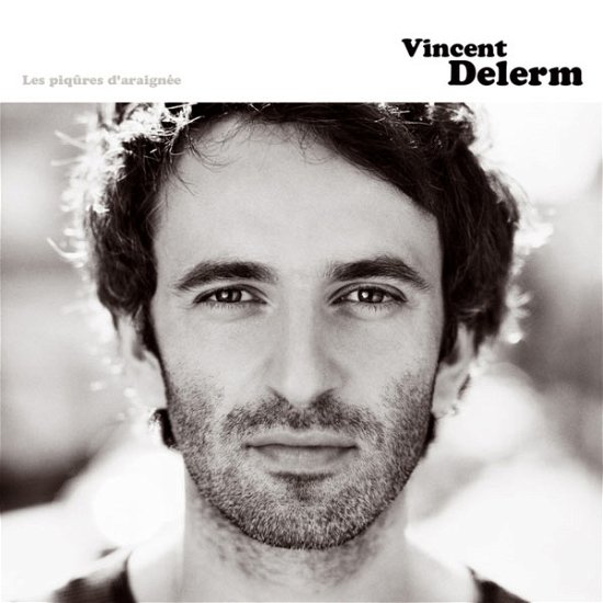 Cover for Vincent Delerm · Les Piqures D'araignee (CD) (2006)