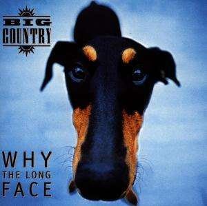 Cover for Big Country · Why the Long Face (CD) (1996)