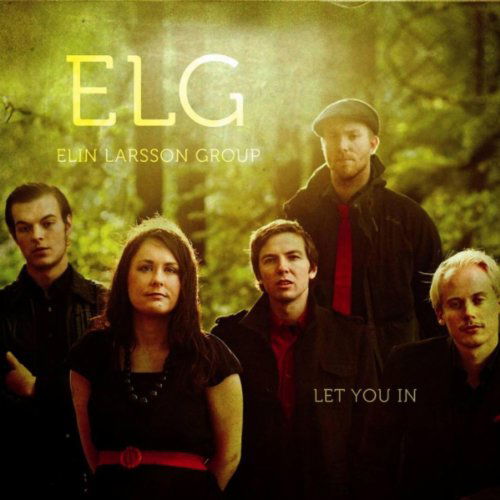 Let You In - Elin Larsson Group - Muziek - NO INFO - 7319200001926 - 23 maart 2011