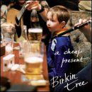 Cover for Birkin Tree · A Cheap Present (CD) (1999)