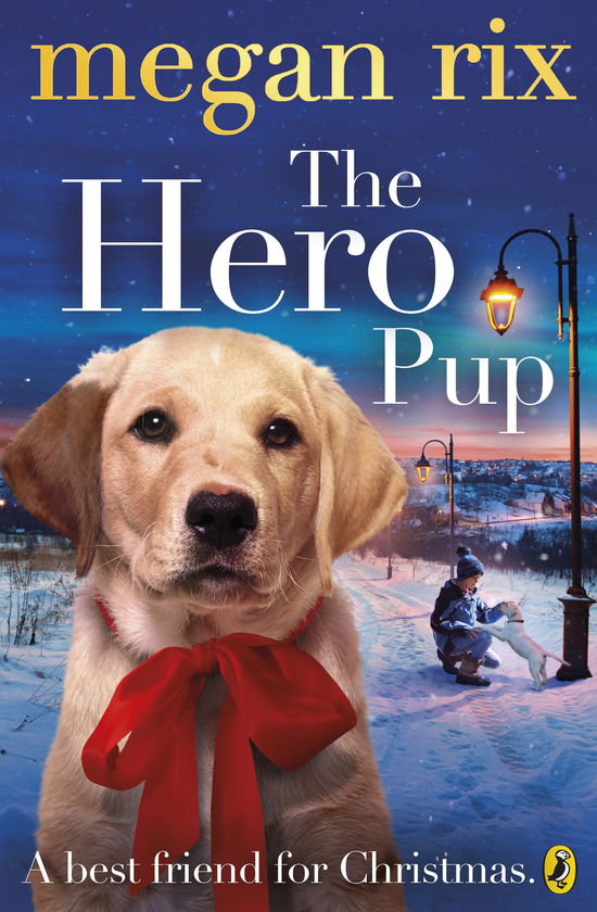 Cover for Megan Rix · The Hero Pup (Pocketbok) (2014)