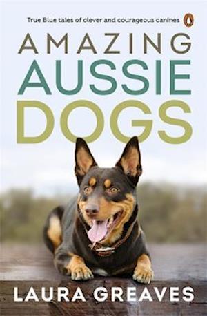 Cover for Laura Greaves · Amazing Aussie Dogs (Paperback Book) (2022)