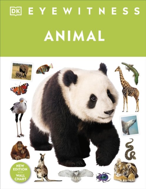 Cover for Dk · Animal - DK Eyewitness (Gebundenes Buch) (2024)