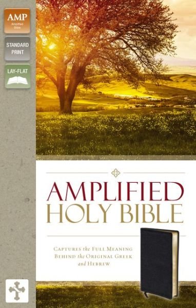 Cover for Zondervan Publishing · Amplified Holy Bible, Bonded Leather, Black: Captures the Full Meaning Behind the Original Greek and Hebrew (Skinnbok) [Black Bonded] (2015)
