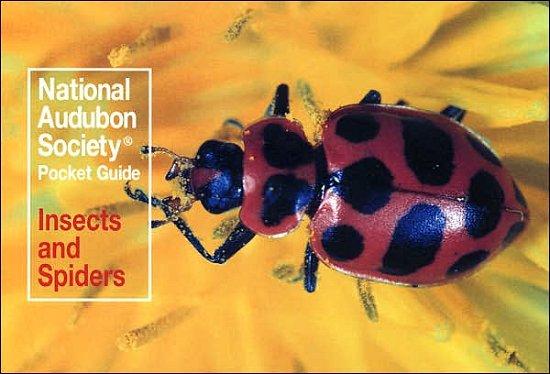 National Audubon Society Pocket Guide: Insects and Spiders - National Audubon Society Pocket Guides - National Audubon Society - Bøger - Alfred A. Knopf - 9780394757926 - 12. april 1988