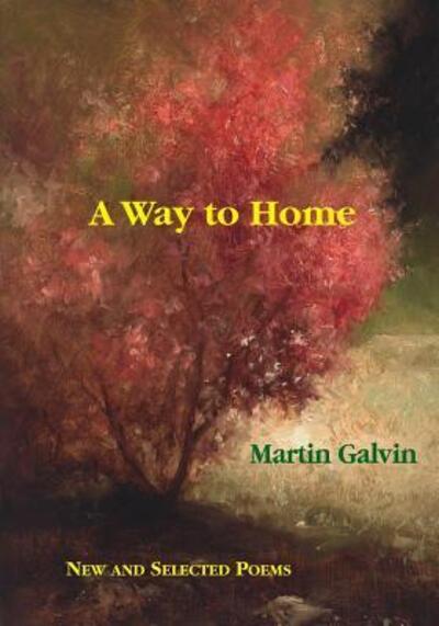 Cover for Martin Galvin · A Way to Home (Paperback Book) (2017)