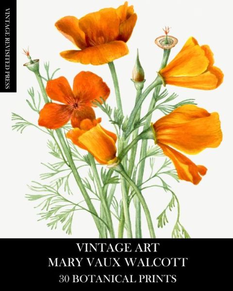 Cover for Vintage Revisited Press · Vintage Art (Paperback Book) (2025)