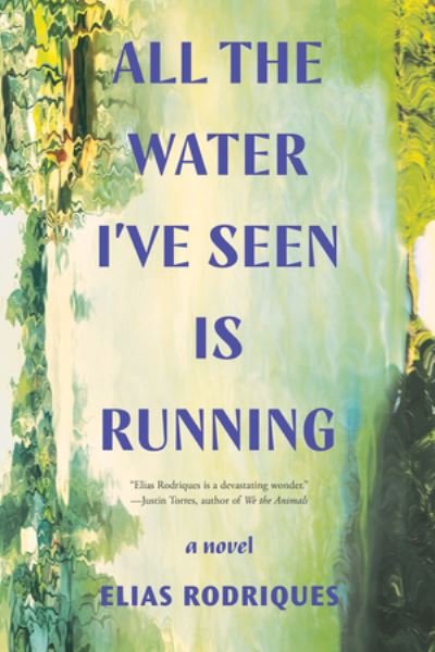 Cover for All the Water I've Seen Is Running - A Novel (Pocketbok) (2024)