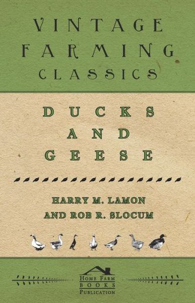 Cover for Harry M. Lamon · Ducks and Geese (Paperback Book) (2014)