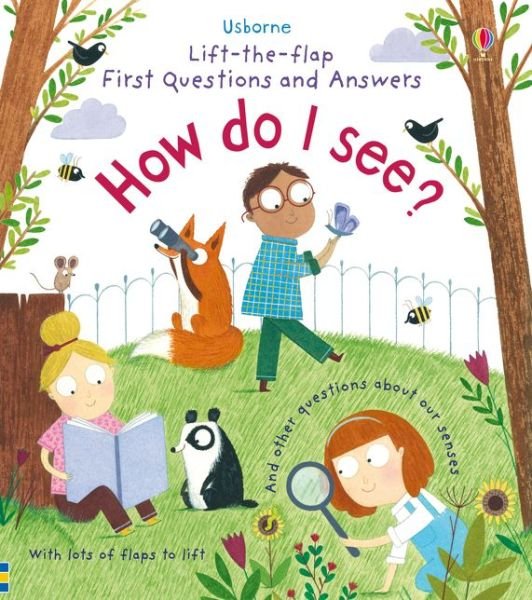 Cover for Katie Daynes · First Questions and Answers: How do I see? - First Questions and Answers (Kartonbuch) (2017)