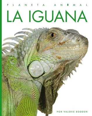 Cover for Valerie Bodden · Iguana (Bok) (2023)