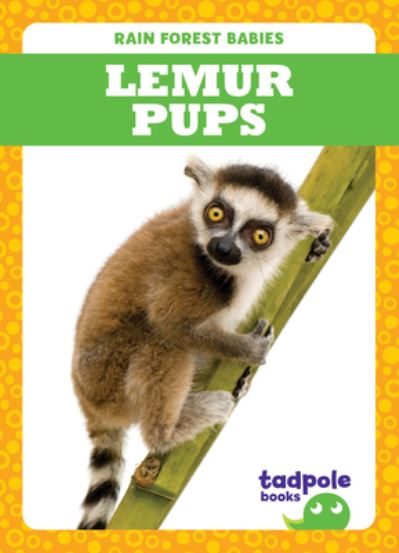 Lemur Pups - Nilsen - Libros - Jump! Incorporated - 9781645274926 - 1 de agosto de 2020