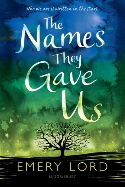 Cover for Emery Lord · The Names They Gave Us (Taschenbuch) (2018)