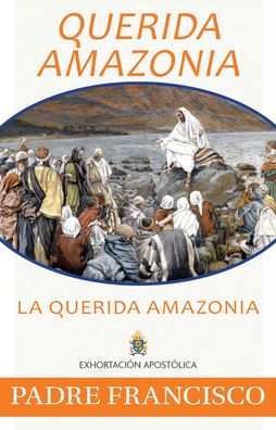 Cover for Pope Francis · Querida Amazonia (Paperback Book) (2020)