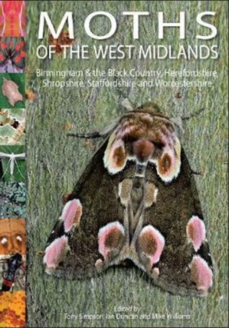 Cover for Tony Simpson · Moths of the West Midlands (Paperback Book) (2020)