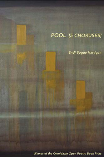 Cover for Endi Bogue Hartigan · Pool ^5 Choruses] (Paperback Book) (2014)