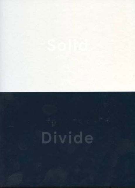 Cover for Julia Bryan-Wilson · Liza Lou - Solid / Divide (Hardcover Book) (2014)