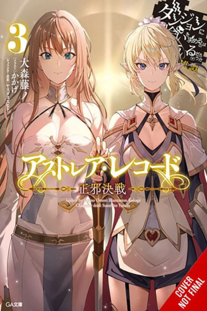 Cover for Fujino Omori · Astrea Record, Vol. 3 Is It Wrong to Try to Pick Up Girls in a Dungeon? Tales of Heroes (Paperback Book) (2024)