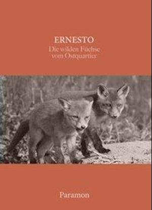 Cover for Ernesto · Die wilden Füchse vom Ostquarti (Book)