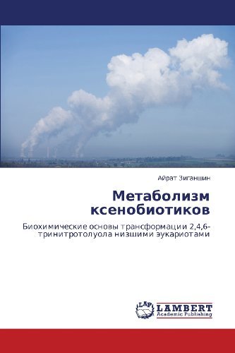 Cover for Ayrat Ziganshin · Metabolizm Ksenobiotikov: Biokhimicheskie Osnovy Transformatsii 2,4,6-trinitrotoluola Nizshimi Eukariotami (Pocketbok) [Russian edition] (2010)