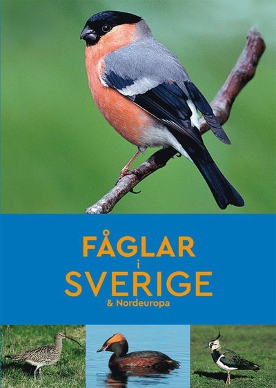 Cover for Peter Goodfellow · Fåglar i Sverige &amp; Nordeuropa (Bok) (2019)