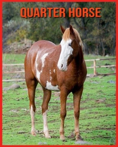 Cover for Linda Davis · Quarter Horse (Paperback Book) (2021)