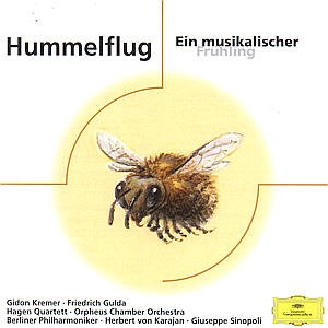 Cover for Mintz / Kontarsky / Kremer / Kar · Hummelflug-ein Musikalischer FrÜhling (CD) (2000)