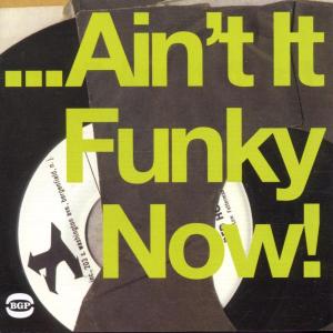 AinT It Funky Now - Ain't It Funky Now / Various - Música - BEAT GOES PUBLIC - 0029667514927 - 24 de junho de 2002