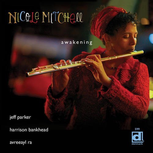 Awakening - Nicole Mitchell - Musik - DELMARK - 0038153059927 - 12. maj 2011