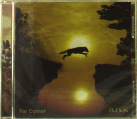 Cover for Far Corner · Risk (CD) (2018)