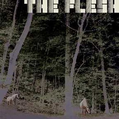 Cover for Flesh (CD) (2012)