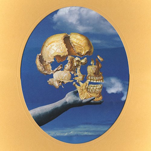 Cover for Sun Angle · Skullflower (LP) (2016)