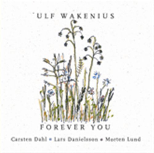 Forever You - Ulf Wakenius - Musik - CADIZ - STUNT - 0663993031927 - 15. März 2019