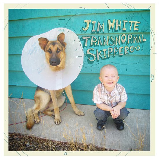 Cover for Jim White · Transnormal Skiperoo (CD) (2008)