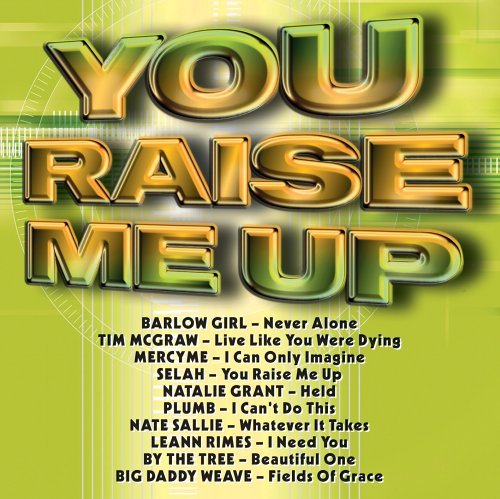 Cover for Curb · You Raise Me Up (CD) (2005)