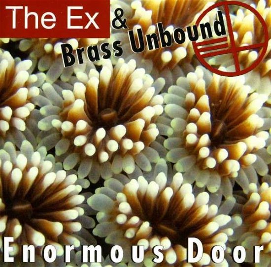 Cover for Ex &amp; Brass Unbound · Enormous Door (CD) (2013)