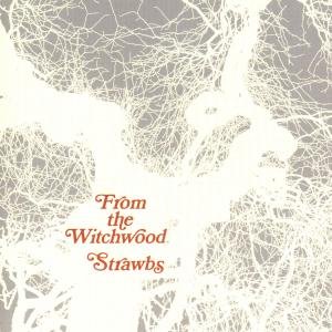 From the Witchwood - Strawbs - Musik - POL - 0731454093927 - 9. december 2009