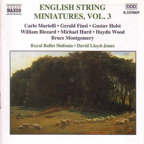 English String Minatures Vol 3 - Royal Ballet Sinflloydjones - Musiikki - NAXOS - 0747313506927 - maanantai 27. elokuuta 2001