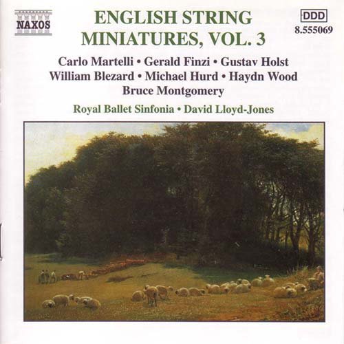 English String Miniatures 3 - Royal Ballet Sinfonia - Musik - NAXOS - 0747313506927 - 14 oktober 2001